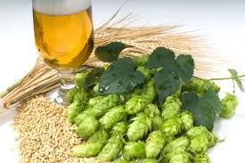 The Chemistry of Beer